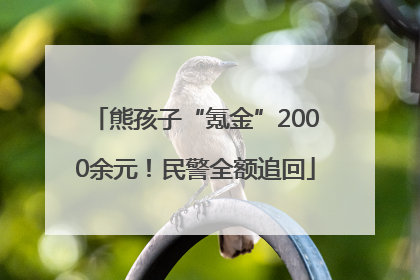 熊孩子“氪金”2000余元！民警全额追回