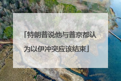 特朗普说他与普京都认为以伊冲突应该结束