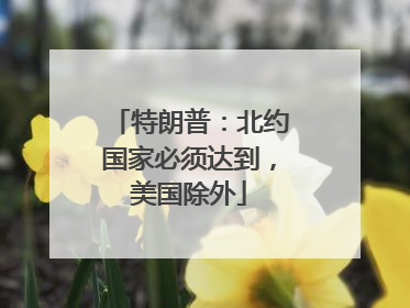 特朗普：北约国家必须达到，美国除外