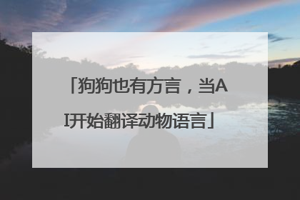 狗狗也有方言，当AI开始翻译动物语言