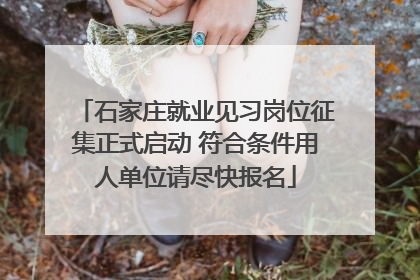 石家庄就业见习岗位征集正式启动 符合条件用人单位请尽快报名