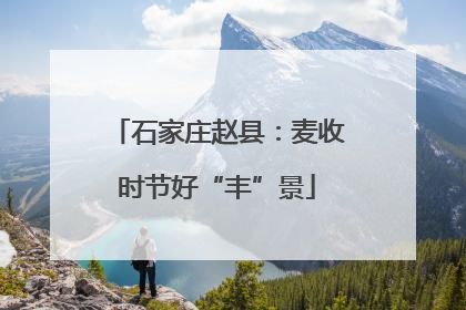 石家庄赵县：麦收时节好“丰”景