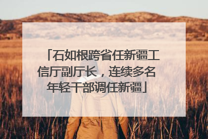 石如根跨省任新疆工信厅副厅长，连续多名年轻干部调任新疆
