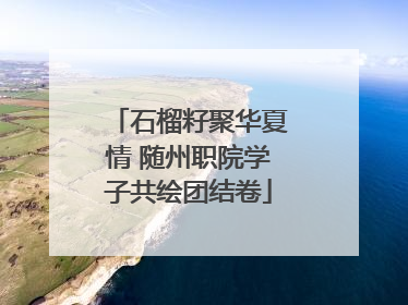 石榴籽聚华夏情 随州职院学子共绘团结卷