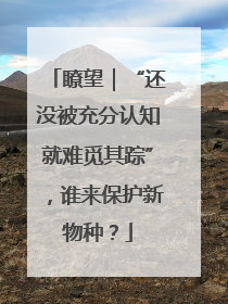 瞭望｜“还没被充分认知就难觅其踪”，谁来保护新物种？