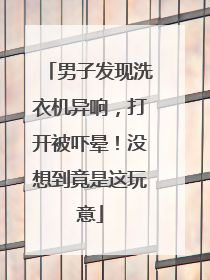 男子发现洗衣机异响，打开被吓晕！没想到竟是这玩意
