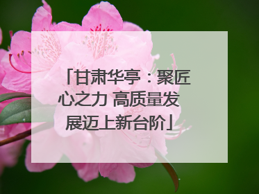 甘肃华亭：聚匠心之力 高质量发展迈上新台阶