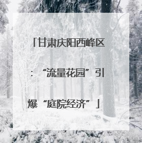 甘肃庆阳西峰区：“流量花园”引爆“庭院经济”