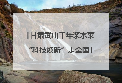 甘肃武山千年浆水菜“科技焕新”走全国