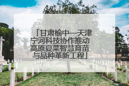 甘肃榆中—天津宁河科技协作推动高原夏菜智慧育苗与品种革新工程