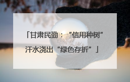 甘肃民勤：“信用种树” 汗水浇出“绿色存折”