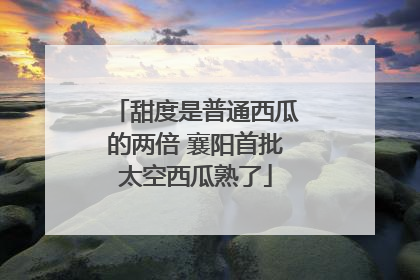 甜度是普通西瓜的两倍 襄阳首批太空西瓜熟了