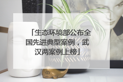 生态环境部公布全国先进典型案例，武汉两案例上榜