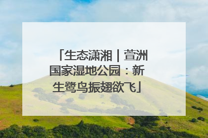 生态潇湘｜萱洲国家湿地公园：新生鹭鸟振翅欲飞