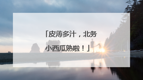 皮薄多汁，北务小西瓜熟啦！