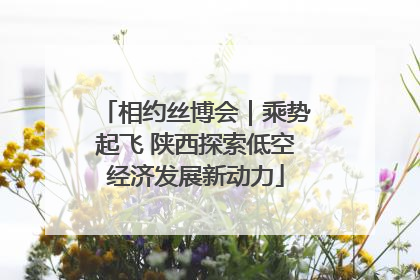 相约丝博会｜乘势起飞 陕西探索低空经济发展新动力