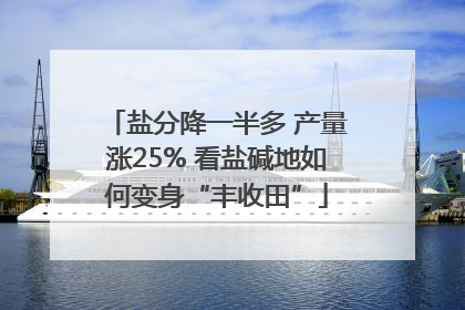 盐分降一半多 产量涨25% 看盐碱地如何变身“丰收田”