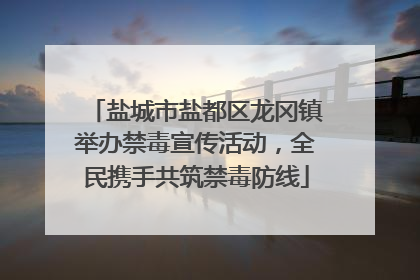 盐城市盐都区龙冈镇举办禁毒宣传活动，全民携手共筑禁毒防线