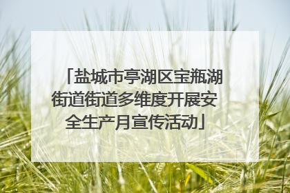 盐城市亭湖区宝瓶湖街道街道多维度开展安全生产月宣传活动
