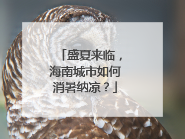 盛夏来临，海南城市如何消暑纳凉？