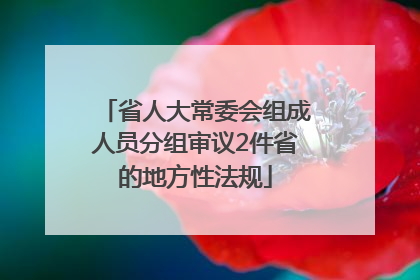 省人大常委会组成人员分组审议2件省的地方性法规