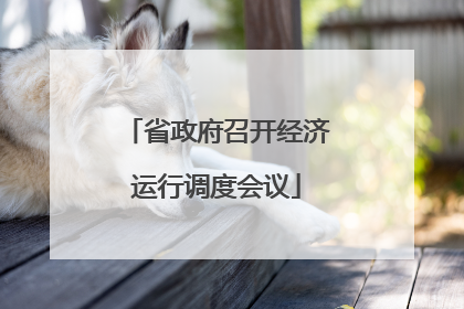 省政府召开经济运行调度会议