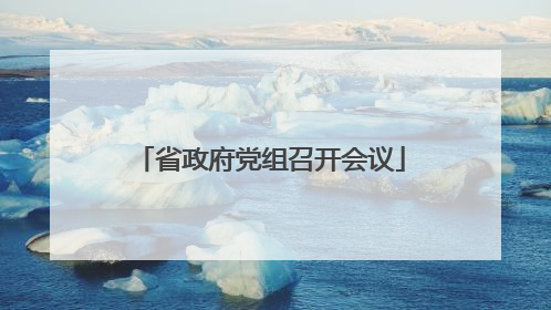 省政府党组召开会议
