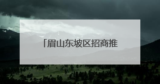 眉山东坡区招商推介会揽金70.43亿，现场抛出300亿投资清单