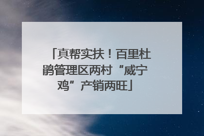 真帮实扶！百里杜鹃管理区两村“威宁鸡”产销两旺