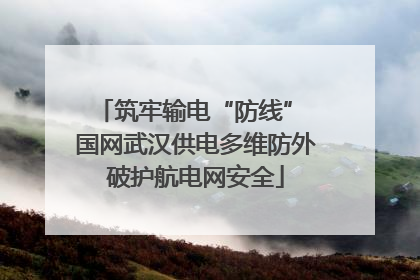 筑牢输电“防线” 国网武汉供电多维防外破护航电网安全