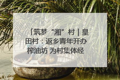 筑梦“湘”村｜皇田村：返乡青年开办榨油坊 为村集体经济“加油”