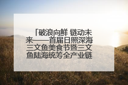 破浪向鲜 链动未来——首届日照深海三文鱼美食节暨三文鱼陆海统筹全产业链发展会议嘉宾访谈