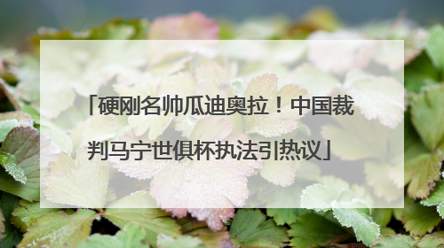 硬刚名帅瓜迪奥拉！中国裁判马宁世俱杯执法引热议