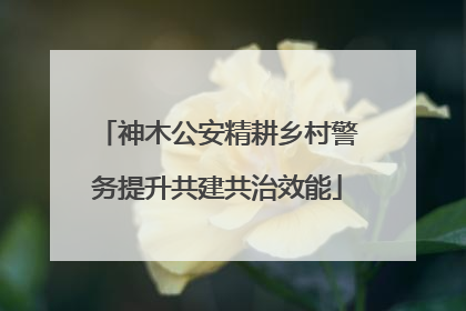 神木公安精耕乡村警务提升共建共治效能