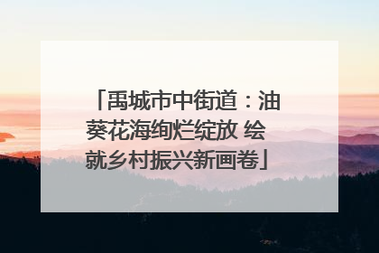 禹城市中街道：油葵花海绚烂绽放 绘就乡村振兴新画卷