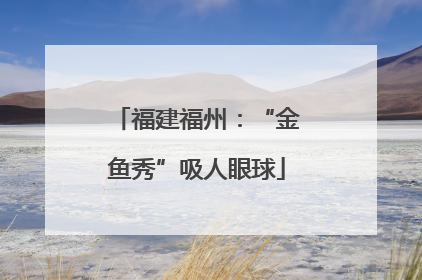 福建福州：“金鱼秀”吸人眼球