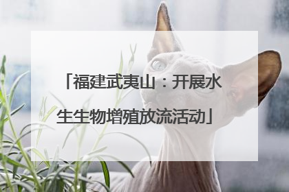福建武夷山：开展水生生物增殖放流活动
