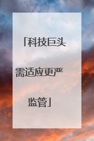 科技巨头需适应更严监管