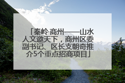 秦岭·商州——山水人文邀天下，商州区委副书记、区长支朝奇推介5个重点招商项目