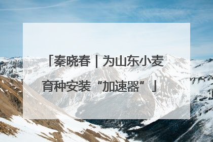 秦晓春｜为山东小麦育种安装“加速器”
