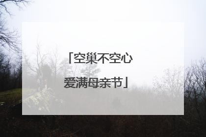 空巢不空心 爱满母亲节