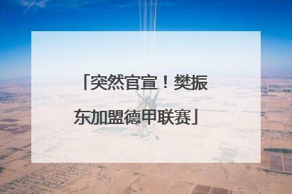 突然官宣！樊振东加盟德甲联赛