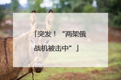 突发！“两架俄战机被击中”