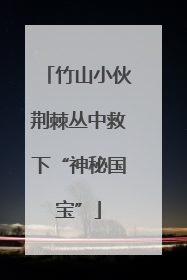 竹山小伙荆棘丛中救下“神秘国宝”