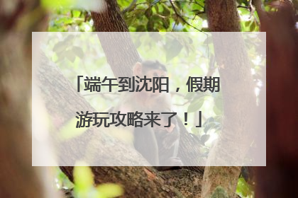 端午到沈阳，假期游玩攻略来了！