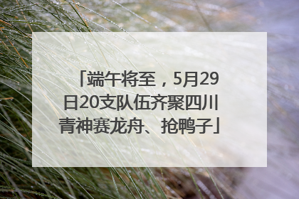 端午将至，5月29日20支队伍齐聚四川青神赛龙舟、抢鸭子