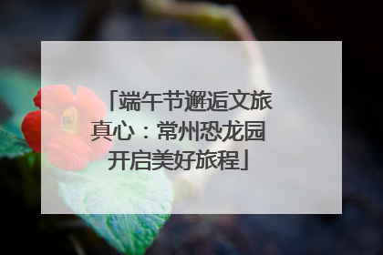 端午节邂逅文旅真心：常州恐龙园开启美好旅程