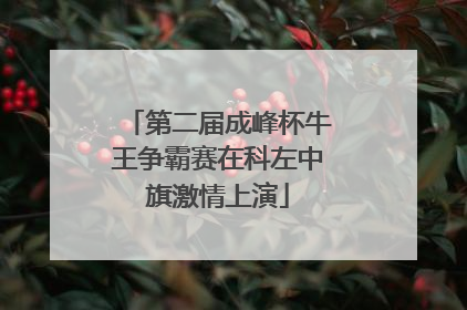 第二届成峰杯牛王争霸赛在科左中旗激情上演