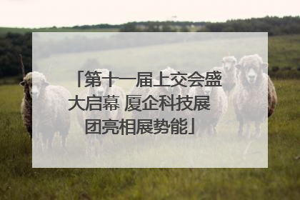 第十一届上交会盛大启幕 厦企科技展团亮相展势能
