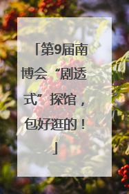 第9届南博会“剧透式”探馆，包好逛的！